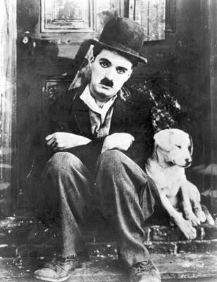 A Dog's Life Fotoğrafı