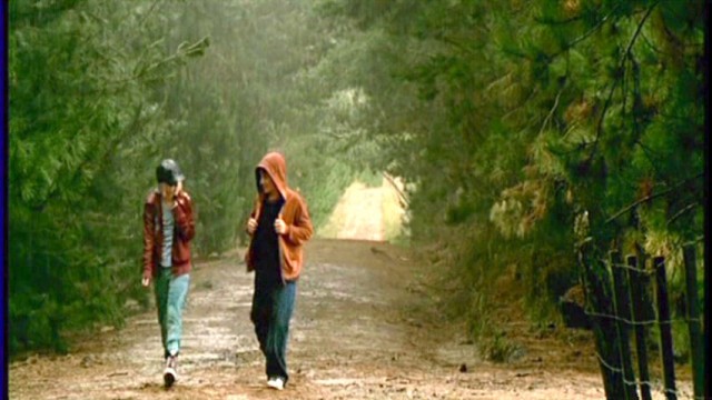 Terabithia Köprüsü Fotoğrafı