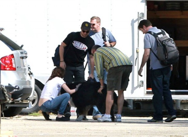 Alacakaranlık Efsanesi: Şafak Vakti Bölüm 1 Fotoğrafı