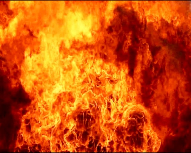 The Bodyguard 2 Fotoğrafı