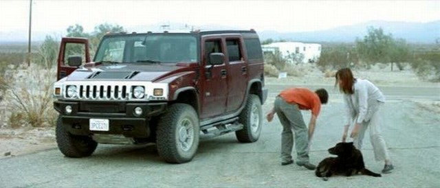 Yirmidokuz Palmiye Fotoğrafı