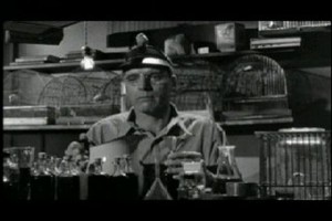 Alkatraz Kuşçusu Fotoğrafı