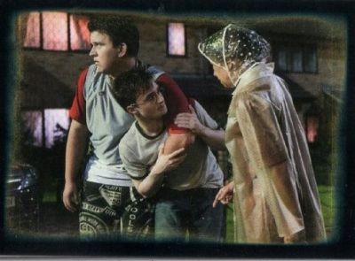 Harry Potter ve Zümrüdüanka Yoldaşlığı Fotoğrafı