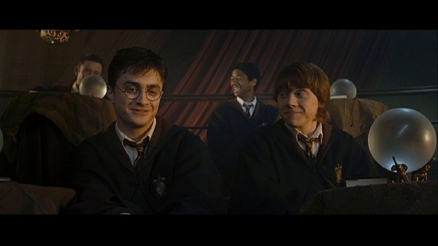 Harry Potter ve Zümrüdüanka Yoldaşlığı Fotoğrafı