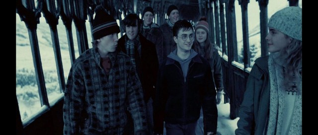 Harry Potter ve Zümrüdüanka Yoldaşlığı Fotoğrafı