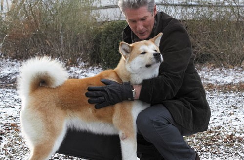Hachi: Bir Köpeğin Hikayesi Fotoğrafı