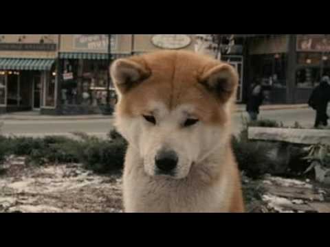 Hachi: Bir Köpeğin Hikayesi Fotoğrafı