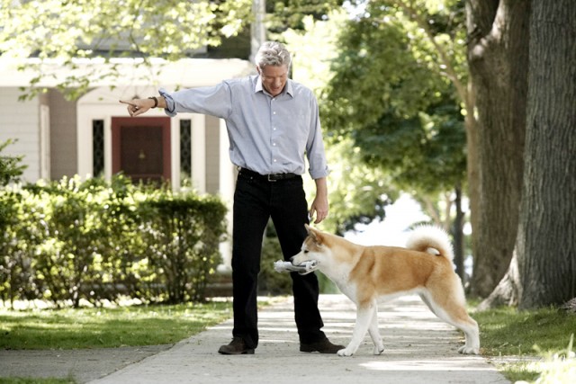 Hachi: Bir Köpeğin Hikayesi Fotoğrafı