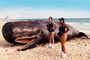 Reno 911!: Miami Fotoğrafı