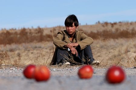 Shiza Fotoğrafı