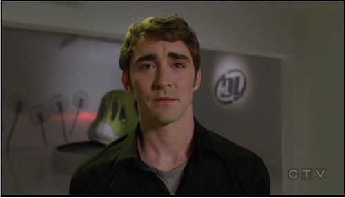 Pushing Daisies Fotoğrafı