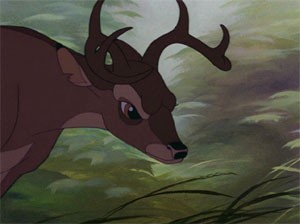 Bambi Fotoğrafı