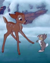 Bambi Fotoğrafı