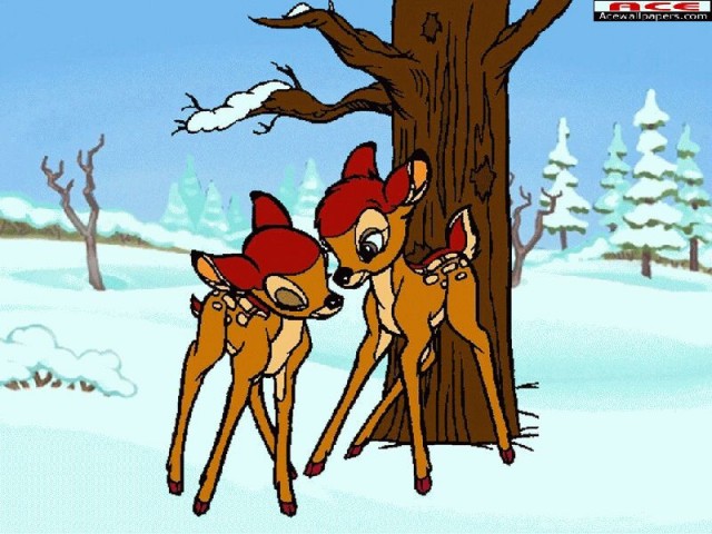 Bambi Fotoğrafları 48