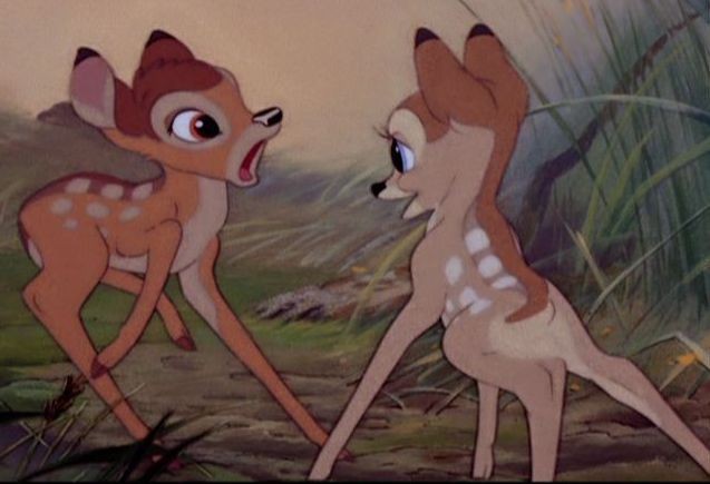 Bambi Fotoğrafları 51