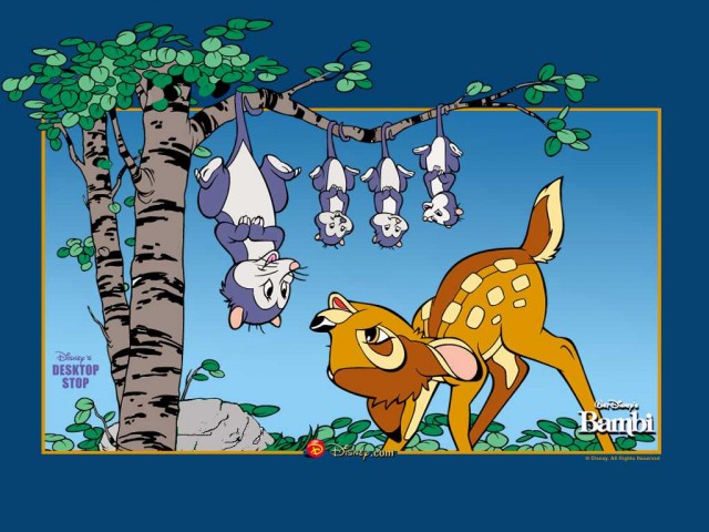 Bambi Fotoğrafı