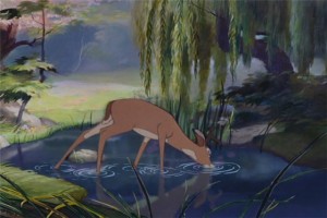 Bambi Fotoğrafı