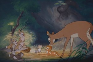 Bambi Fotoğrafları 2