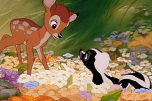 Bambi Fotoğrafı