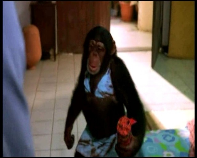 Surf School Fotoğrafı