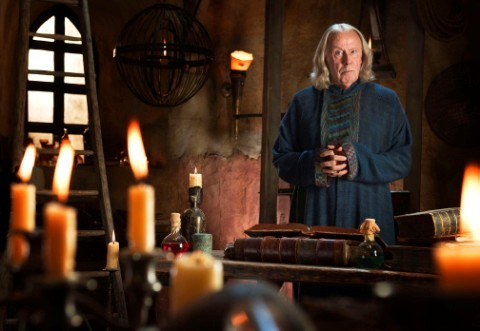 Merlin Fotoğrafı