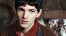 Merlin Fotoğrafı