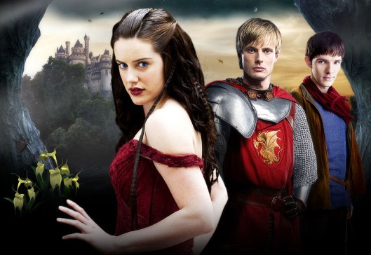 Merlin Fotoğrafı