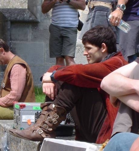 Merlin Fotoğrafı