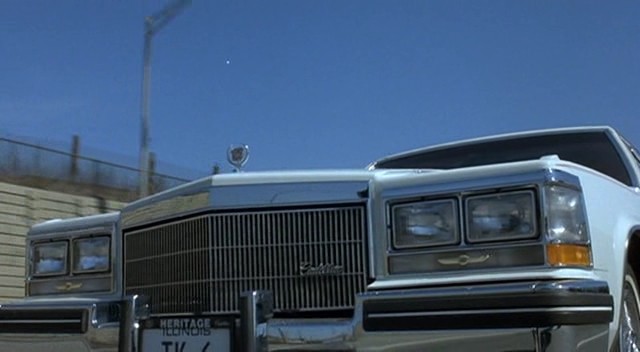 Paranın Rengi Fotoğrafı