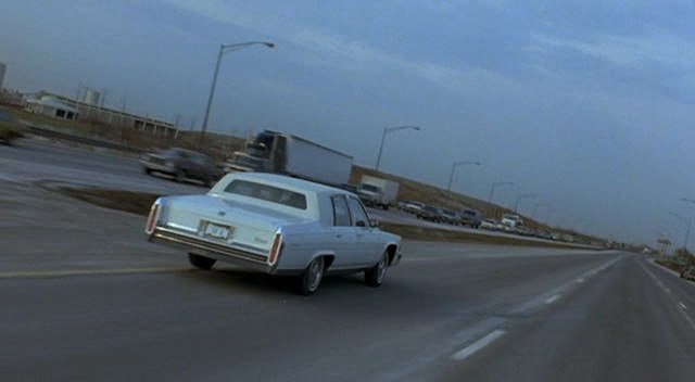 Paranın Rengi Fotoğrafı