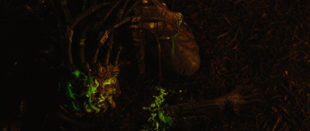 Predators Fotoğrafları 64