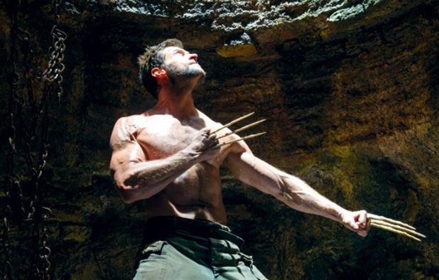 Wolverine Fotoğrafı