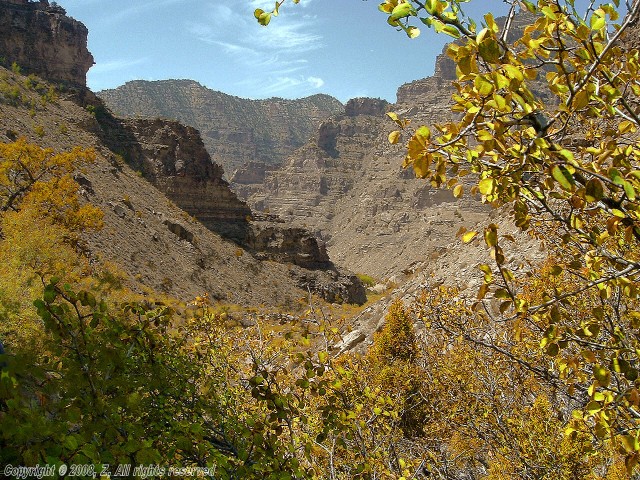 Issız Kanyon Fotoğrafları 2