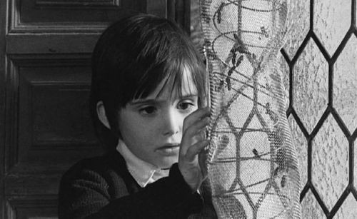 Arı Kovanının Ruhu Fotoğrafı