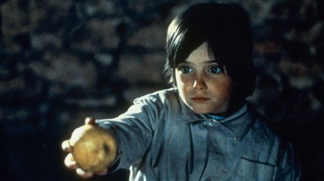 Arı Kovanının Ruhu Fotoğrafı