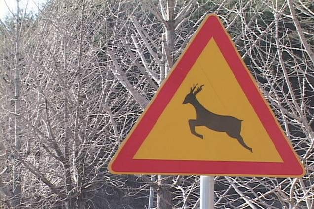 One Day On The Road Fotoğrafı