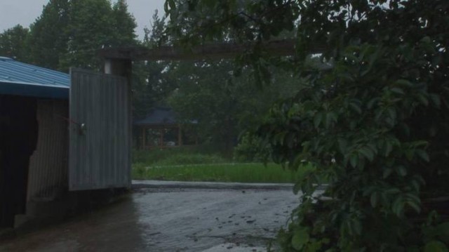 The Past is A Strange Country Fotoğrafı