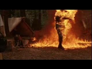 Nature Unleashed: Fire fotoğrafı