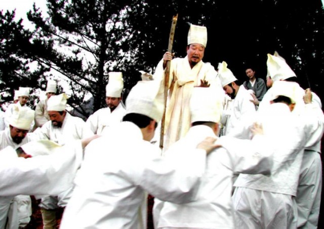 The Land Fotoğrafı