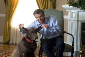 Amerikan Rüyaları Fotoğrafı