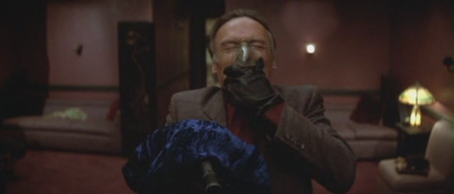 Mavi Kadife Fotoğrafı