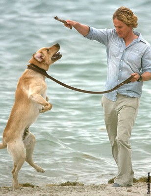 Marley ve Ben Fotoğrafı