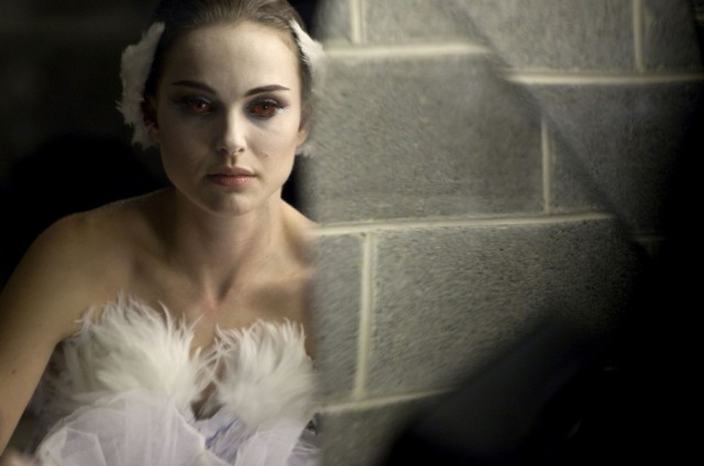 Siyah Kuğu Fotoğrafı