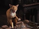 Şirinler Fotoğrafı