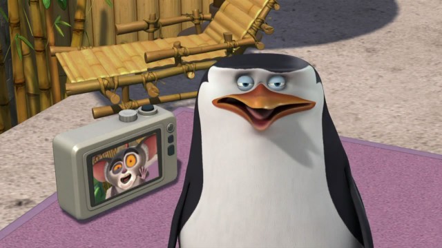 The Penguins Of Madagascar Fotoğrafları 8