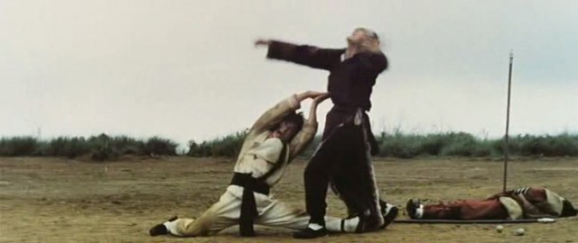 Shaolin'in Yılan Ve Turna Tekniği Fotoğrafları 1