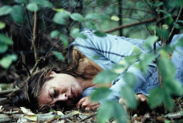 The Stranger in Me Fotoğrafı