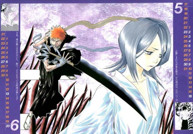 Bleach Fotoğrafı