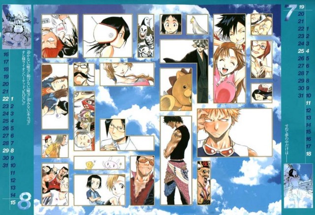 Bleach Fotoğrafı