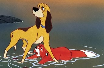 Tilki Ve Avcı Köpeği Fotoğrafı